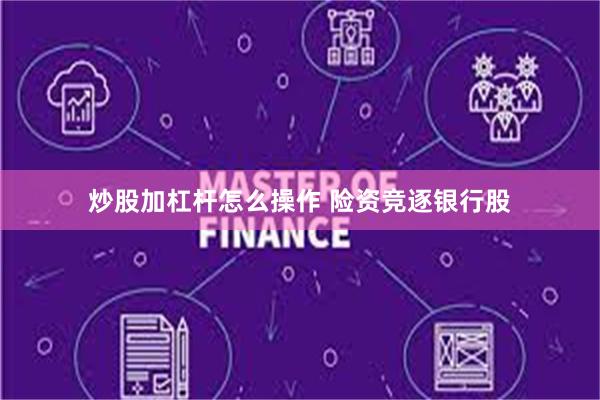 炒股加杠杆怎么操作 险资竞逐银行股