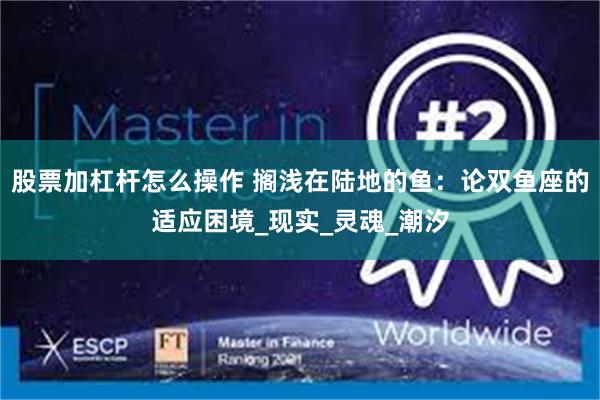 股票加杠杆怎么操作 搁浅在陆地的鱼：论双鱼座的适应困境_现实_灵魂_潮汐