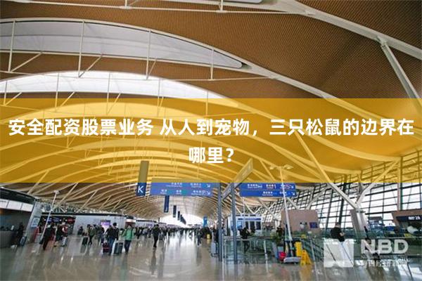 安全配资股票业务 从人到宠物，三只松鼠的边界在哪里？