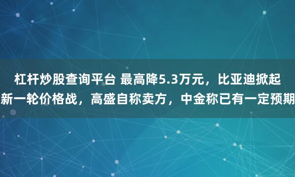 杠杆炒股查询平台 最高降5.3万元，比亚迪掀起新一轮价格战，高盛自称卖方，中金称已有一定预期