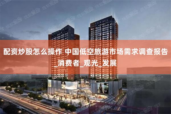 配资炒股怎么操作 中国低空旅游市场需求调查报告_消费者_观光_发展