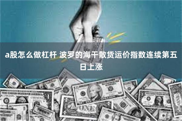 a股怎么做杠杆 波罗的海干散货运价指数连续第五日上涨
