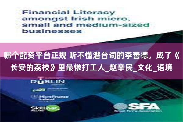 哪个配资平台正规 听不懂潜台词的李善德，成了《长安的荔枝》里最惨打工人_赵辛民_文化_语境